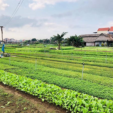 Snow Pearl Homestay Hoi An Eksteriør billede